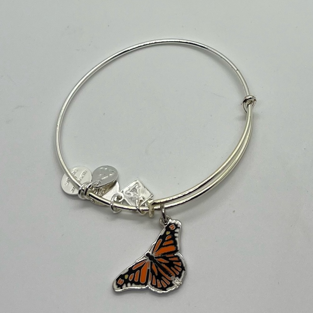 Alex and Ani Bracelet